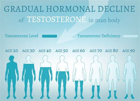 seeinglooking free testosterone levels in men