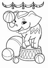 Elefante Coloringtop Alicorn Artykuł sketch template