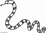 Coloring Pages Kingsnake sketch template