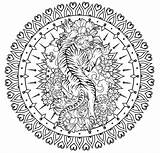 Kainth Vik Behance Mandala Tiger sketch template