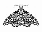 Doodle Moth sketch template