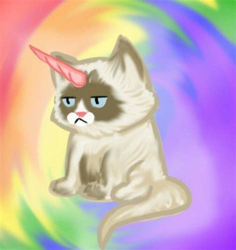 image result  grumpy cat unicorn grumpy cat meme cat years  cat