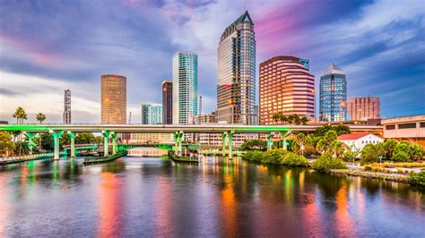 the top 17 things to do in tampa bay florida