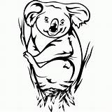 Coloring Koala Pages Bear Adults Print Library Coloringbay Getcolorings sketch template