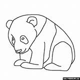 Panda Baby Coloring Bear Pages Pandas Drawing Cute Printable Simple Color Line Draw Kids Cub Zoo Them Clipartbest Gif Getdrawings sketch template