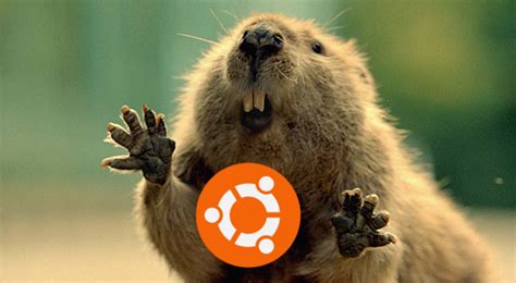 ubuntu 18 04 lts bionic beaver is now available here