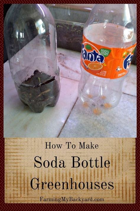 How To Make Soda Bottle Greenhouses Greenhouse Farming Bottle Soda