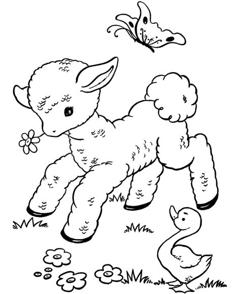 bluebonkers  printable easter lamb coloring page sheets