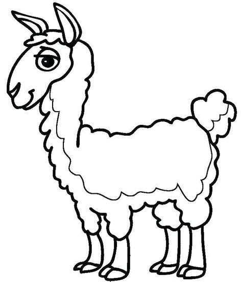 club llama coloring pages  coloring pages  kids