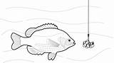 Bait Clipart Fish Fishing Drawing Lure Beaded Getdrawings Vocabulary Hobbies Exercises Transparent Svg Webstockreview Openclipart sketch template