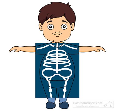 medical clipart    ray showing bones classroom clipart