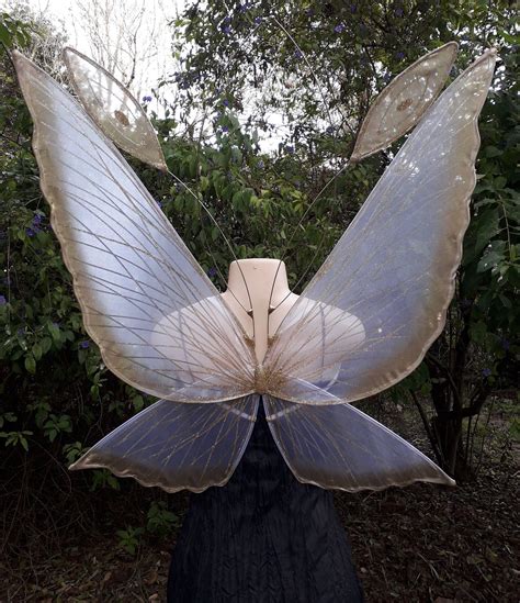 large chrysalis fairy wings  adults icarus fairy wings