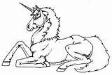 Coloring Unicorn Pages Realistic Kids Library Clipart sketch template