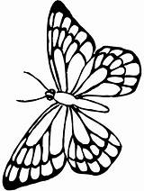 Butterfly Coloring Pages Monarch Color Print sketch template