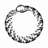 Ouroboros Tattoo Tattootribes Beast Tattoos Tribal Snake Clipart Eternity Designs Millenium Flames Circle Idea Celtic Knot Uroboros Clipartmag Tail Flash sketch template