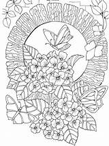 Therapy Coloring Pages Books Colouring Adult Mandala Relaxation Color Book Flower Drawing Printable Butterfly Cool Detailed Print Kids Watercolor Colour sketch template