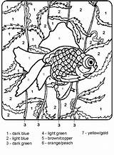 Coloring Number Color Pages Numbers Advanced Clipart Printable Fish Painting sketch template