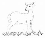 Deer Dot Drawing Dots Follow Pdf Draw Printables Samanthasbell sketch template