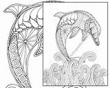 Coloring Dolphin Adult Pages Nautical Adults Sea Print Ocean Printable Sheet Colouring Mandala Getdrawings Kids Easy Dolphins Book Psychology Getcolorings sketch template