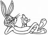 Looney Tunes Toons Kolorowanka Zwariowane Melodie Azcoloring Malvorlagen Malowankę Wydrukuj Taz Charactors Populor sketch template