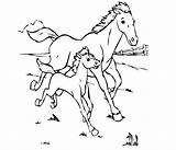 Cavalo Colorir Cavalos Imprimir Caballos Foal Mother Atividades Coloringhome Colornimbus sketch template