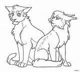 Jayfeather sketch template