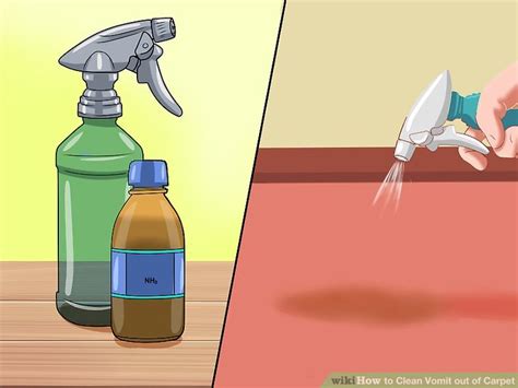 clean vomit   carpet  pictures wikihow life
