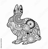 Mandala Colorare Coniglio Rabbit Nero sketch template