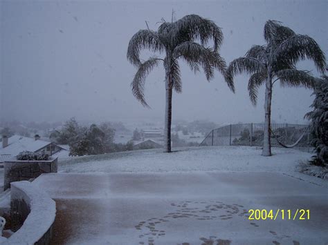 perris ca palm trees and snow photo picture image