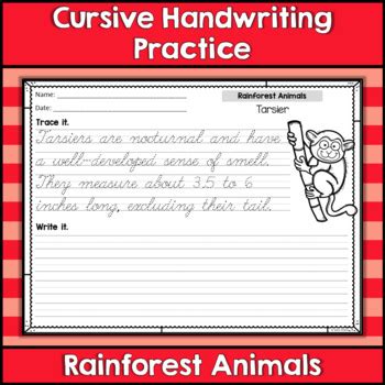 cursive handwriting practice pages rainforest animals  katie stokes