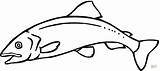 Salmon Coloring Pages Pacific sketch template