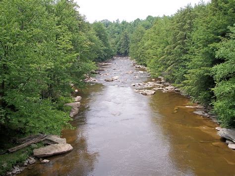 fileblackwater river blackwater falls state park west virginiajpg wikimedia commons