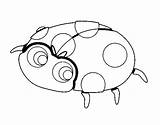 Ladybird Happy Coloring Coloringcrew sketch template