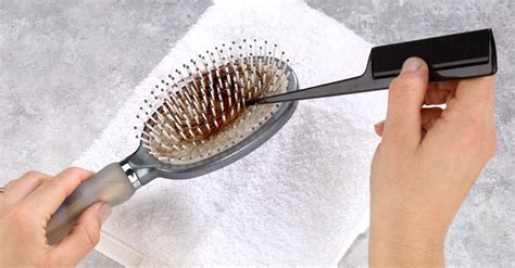 clean  hairbrush   easy steps