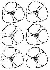 Poppy Template Poppies Craft Remembrance Cut Coloring Templates Printable Kids Crafts Pages Veterans Colouring Craftnhome Color Instructions Anzac Sunday Flower sketch template