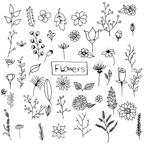 hand drawn flower vector hd images hand drawn flowers pack hand drawn flowers flower png