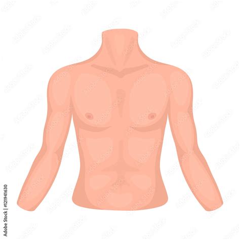 chest icon  cartoon style isolated  white background part  body