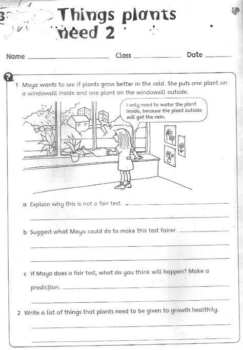 reinforcement science worksheet science class  topic
