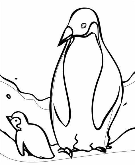 penguin printables coloring pages coloring home