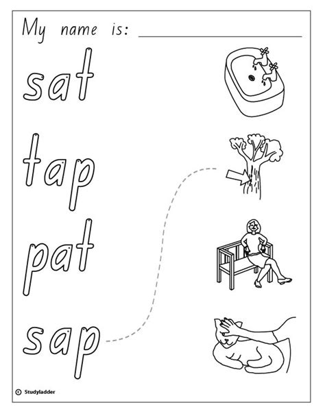 words  pictures sat tap pat sap studyladder interactive