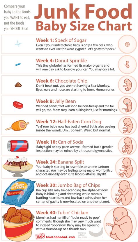 baby size compared  junk food babycenter