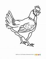 Coloring Chicken Pages Kids Hen Worksheets sketch template