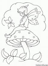 Pilz Colorear Duendes Hadas Cogumelo Mushroom Fata Elfi Elfen Colorkid Champignon Fairies Setas Magica Bacchetta Fungo Blumenwiese Fadas Feen Flauto sketch template