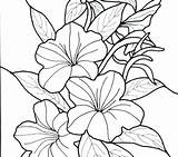 Coloring Tropical Pages Flower Printable Hawaii Flowers State Hawaiian Drawing Getdrawings Colouring Color Getcolorings sketch template