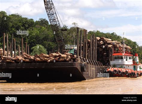 log barge part   major logging operation   batang rajang river  sibu  kapit