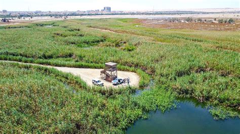 al jahra nature reserve