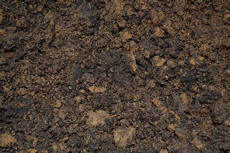 dirt soil potting  photo  pixabay