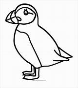 Puffin Puffins Coloring4free Coloringbay Clipartkey sketch template