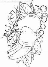 Frutas Bordar Verduras Bordado Passo Fruta Drawing Flores Bordados Tecnicas Hand Riscos Colouring Tecido Bocetos Applique Frutero Grapes Colores Rosas sketch template