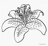 Ausmalbilder Blumen Kostenlos Cool2bkids Sheets sketch template